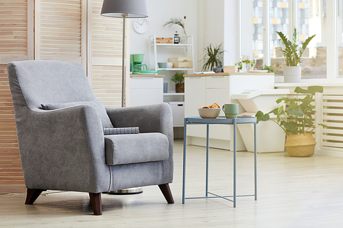 Image of cosy modern armchair in the living room at house