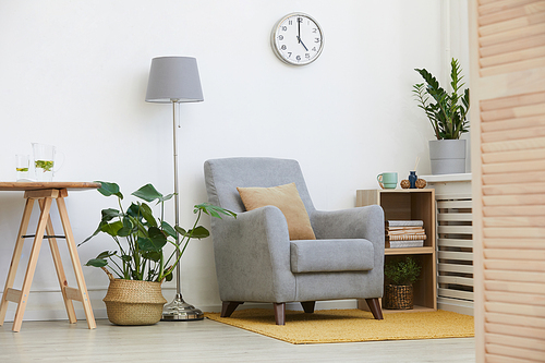 Image of cosy armchair with other modern furniture in domestic room