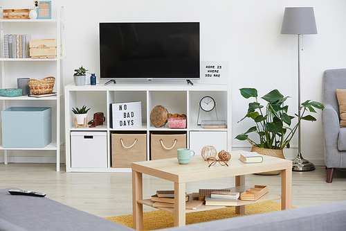 Image of big TV in the modern living room in the apartment