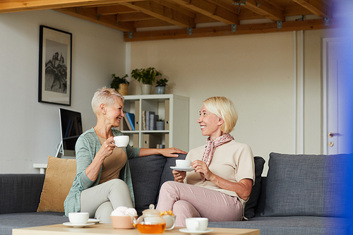 Two mature women smiling and talking to each other while sitting on sofa and drinking tea in the living room