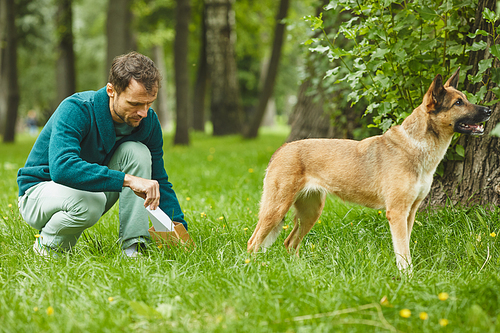 Young man cleaning up after his dog from the grass while they walking in the forest