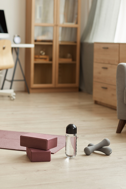 Image of sports equipment dumbbells and exercise mat in the living room at home