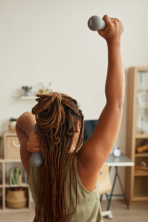 Rear view of young woman with stylish hairstyle raising her hands with dumbbells she warming up before training