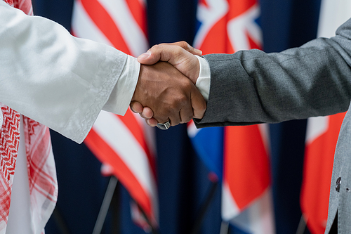 Two contemporary male delegates or political leaders shaking hands against flags while standing in front of camera