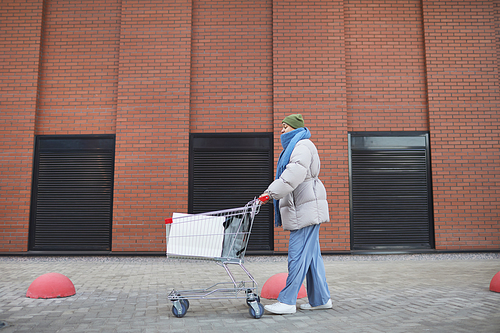 Woman in warm clothing walking along the street with cart after shopping