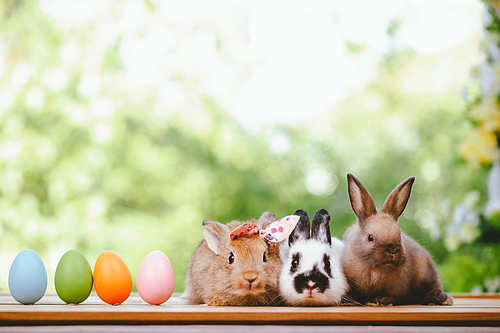 Group of three cute little three brown hare and rabbit sitting with multiple colorful easter eggs while looking away