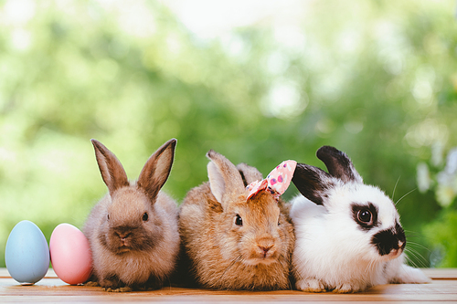 Group of three cute little three brown hare and rabbit sitting with multiple colorful easter eggs while looking away