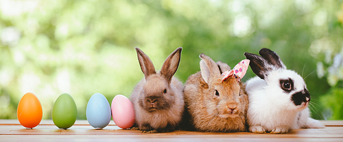 Group of three cute little three brown hare and rabbit sitting with multiple colorful easter eggs while looking away