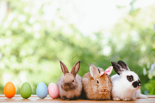 Group of three cute little three brown hare and rabbit sitting with multiple colorful easter eggs while looking away