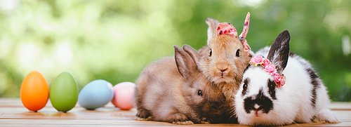 Group of three cute little three brown hare and rabbit sitting with multiple colorful easter eggs while looking away