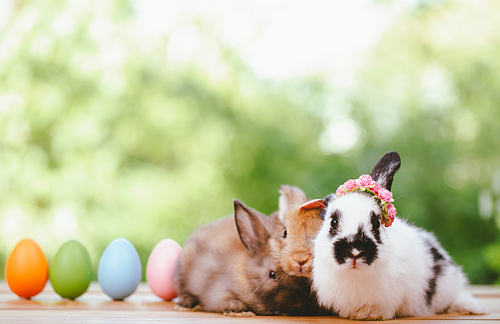 Group of three cute little three brown hare and rabbit sitting with multiple colorful easter eggs while looking away