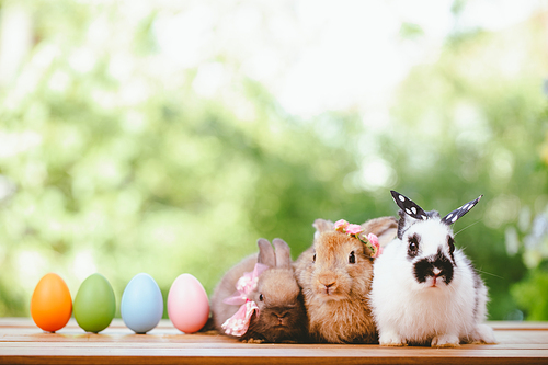 Group of three cute little three brown hare and rabbit sitting with multiple colorful easter eggs while looking away