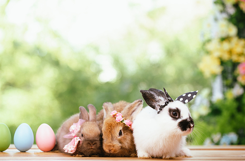 Group of three cute little three brown hare and rabbit sitting with multiple colorful easter eggs while looking away