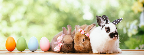 Group of three cute little three brown hare and rabbit sitting with multiple colorful easter eggs while looking away