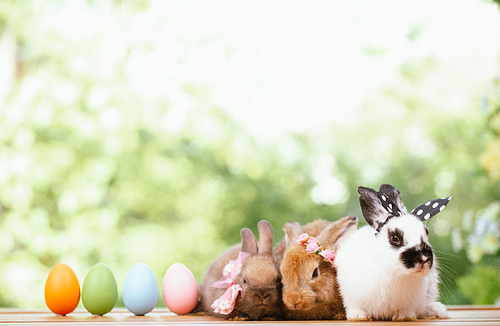 Group of three cute little three brown hare and rabbit sitting with multiple colorful easter eggs while looking away