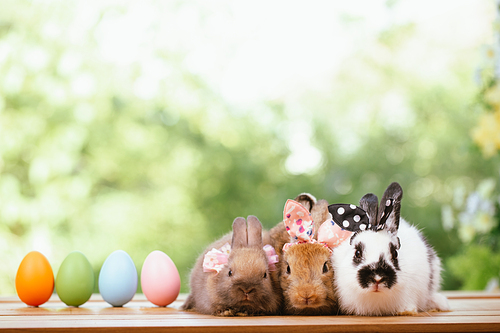 Group of three cute little three brown hare and rabbit sitting with multiple colorful easter eggs while looking away