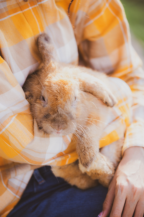 Young smiling and innocent girl holding and hugging a cute little rabbit with closed eyes and caressing her on back