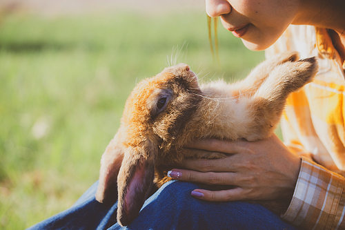 relationships of cheerful rabbit and happy young human girl, Asian woman holding and carrying cute rabbit with tenderness and love. Friendship with cute easter bunny. Happy of Easter's Day