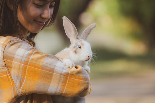 relationships of cheerful rabbit and happy young human girl, Asian woman holding and carrying cute rabbit with tenderness and love. Friendship with cute easter bunny. Happy of Easter's Day