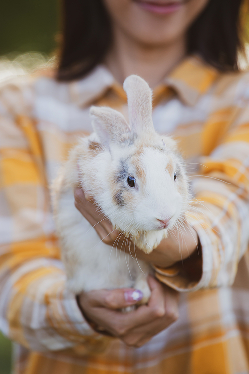 beautiful pretty portrait of young Asian woman person with cute rabbit in pet and animal care concept, happy female holding bunny at nature outdoor field with friendship, easter concept