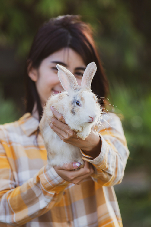 relationships of cheerful rabbit and happy young human girl, Asian woman holding and carrying cute rabbit with tenderness and love. Friendship with cute easter bunny. Happy of Easter's Day