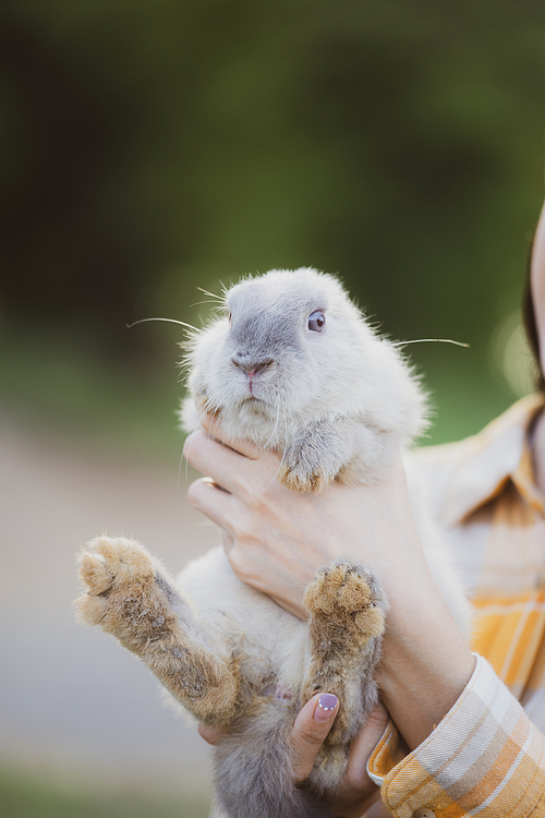 relationships of cheerful rabbit and happy young human girl, Asian woman holding and carrying cute rabbit with tenderness and love. Friendship with cute easter bunny. Happy of Easter's Day