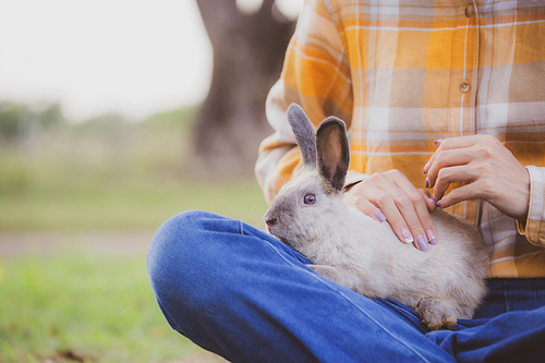 relationships of cheerful rabbit and happy young human girl, Asian woman holding and carrying cute rabbit with tenderness and love. Friendship with cute easter bunny. Happy of Easter's Day