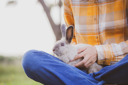 beautiful pretty portrait of young Asian woman person with cute rabbit in pet and animal care concept, happy female holding bunny at nature outdoor field with friendship, easter concept