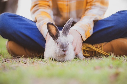 relationships of cheerful rabbit and happy young human girl, Asian woman holding and carrying cute rabbit with tenderness and love. Friendship with cute easter bunny. Happy of Easter's Day