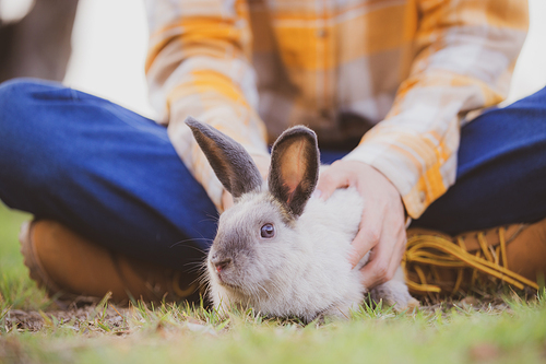 relationships of cheerful rabbit and happy young human girl, Asian woman holding and carrying cute rabbit with tenderness and love. Friendship with cute easter bunny. Happy of Easter's Day