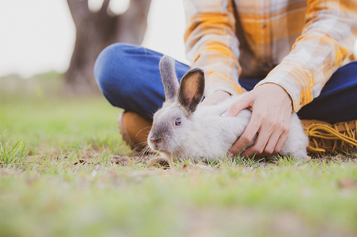 relationships of cheerful rabbit and happy young human girl, domestic friendship family of little cute easter pet and friends person having smile and fun, animal love and care at home concept