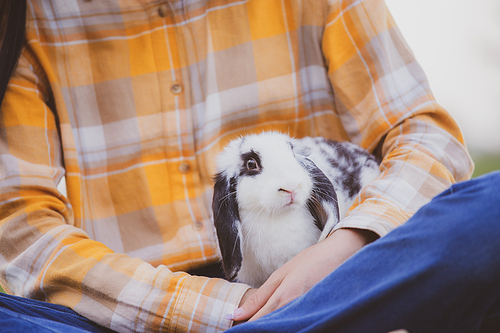 relationships of cheerful rabbit and happy young human girl, domestic friendship family of little cute easter pet and friends person having smile and fun, animal love and care at home concept