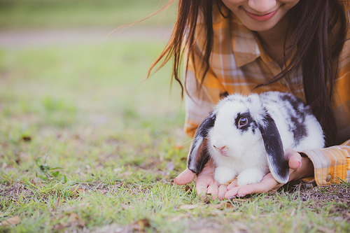 relationships of cheerful rabbit and happy young human girl, domestic friendship family of little cute easter pet and friends person having smile and fun, animal love and care at home concept