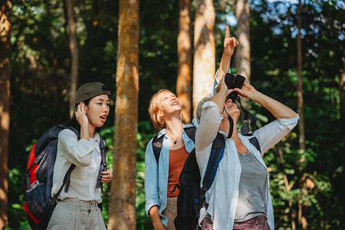 woman family walking in the forest to watching a bird in nature, using binocular for birding by looking on a tree, adventure travel activity in outdoor trekking lifestyle, searching wildlife in jungle