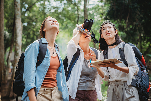 woman family walking in the forest to watching a bird in nature, using binocular for birding by looking on a tree, adventure travel activity in outdoor trekking lifestyle, searching wildlife in jungle