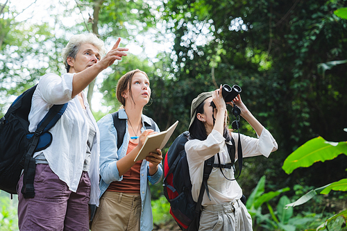 woman family walking in the forest to watching a bird in nature, using binocular for birding by looking on a tree, adventure travel activity in outdoor trekking lifestyle, searching wildlife in jungle