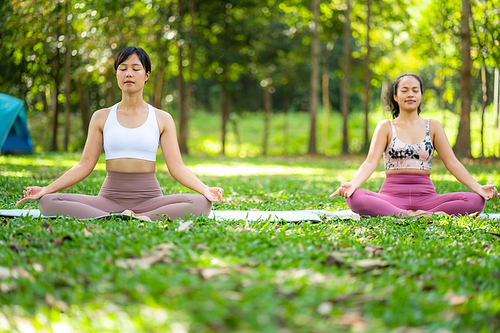Fitness lifestyle and body healthy concept, Portrait of young Asian woman doing Yoga in the garden for a workout, Practicing exercise in the park outdoor with happy relaxation in vacation time