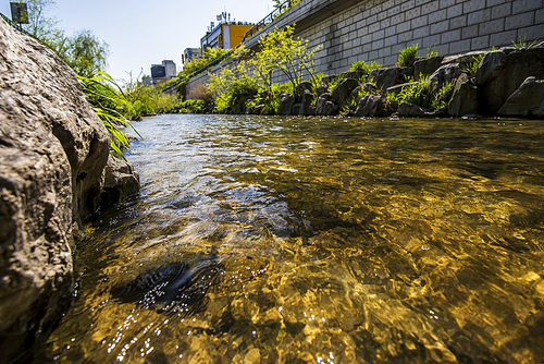 서울 청계천에 흐르는 맑은 물