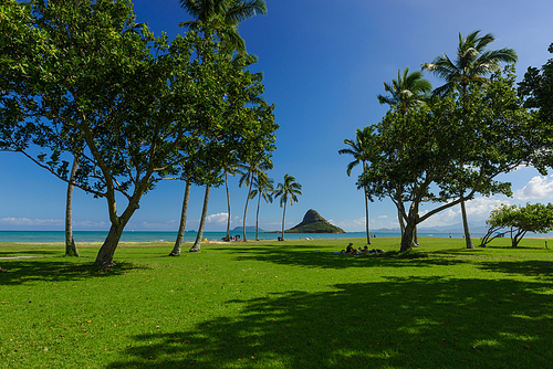 하와이 오아후섬 해변의 공원과 중국인 모자섬