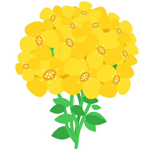노랑 개나리 꽃다발