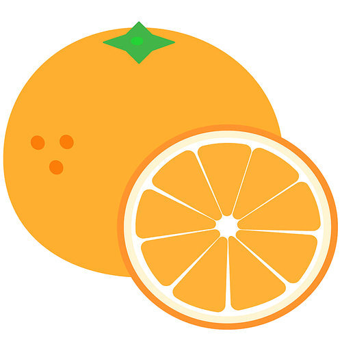 과즙 풍부한 귤과 오렌지