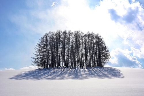 일본 홋카이도 비에이 겨울 풍경