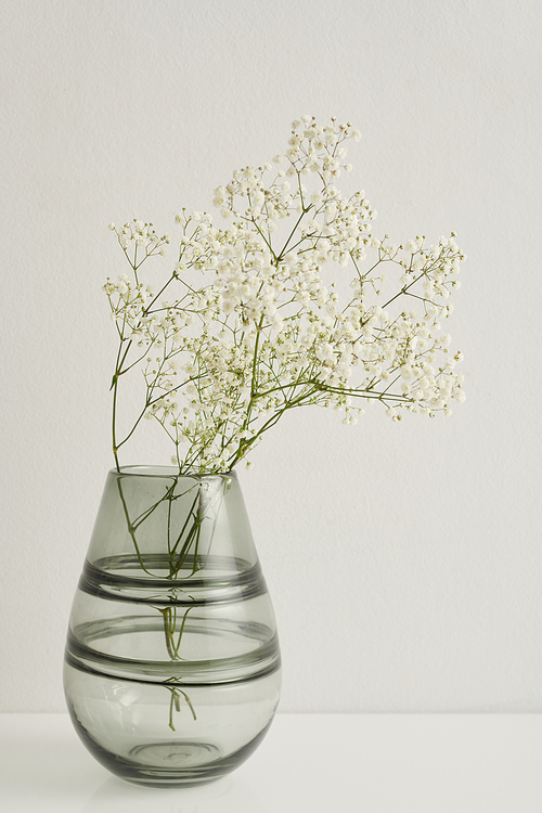 Modern still life composition with small flower plant in transparent vessel against white wall background, copy space