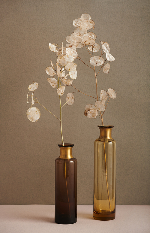 Contemporary still life shot of unusual plant branches in brown glass vases against gray background