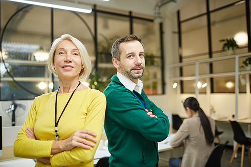 Confident business leaders of successful company wearing casual clothing standing back to back and looking at camera