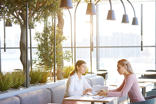 Busy young business ladies sitting at table in modern cafe with decorative lamps and using tablet while discussing project