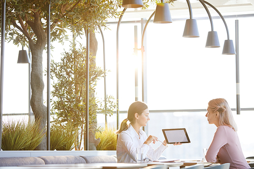 Young businesswoman with ponytail sitting at table in modern restaurant with plants and presenting project plan to colleague at informal meeting