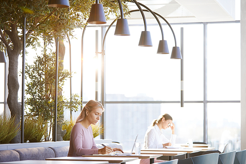 Serious young businesswoman in pink sweater sitting at table in cafe with trees and using laptop while elaborating business plan