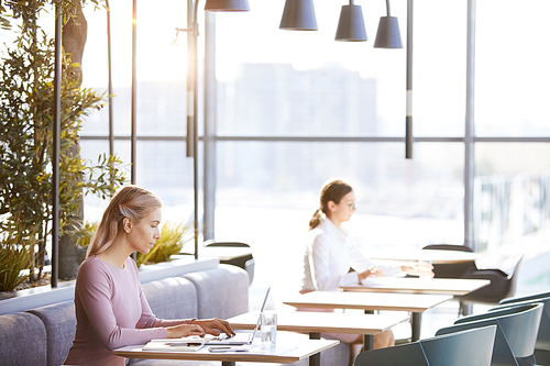 Young blond woman sitting at table in cozy restaurant and using laptop while searching for information on internet