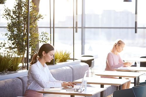 Content young businesswoman in white blouse sitting at table and typing on laptop while composing email for customer